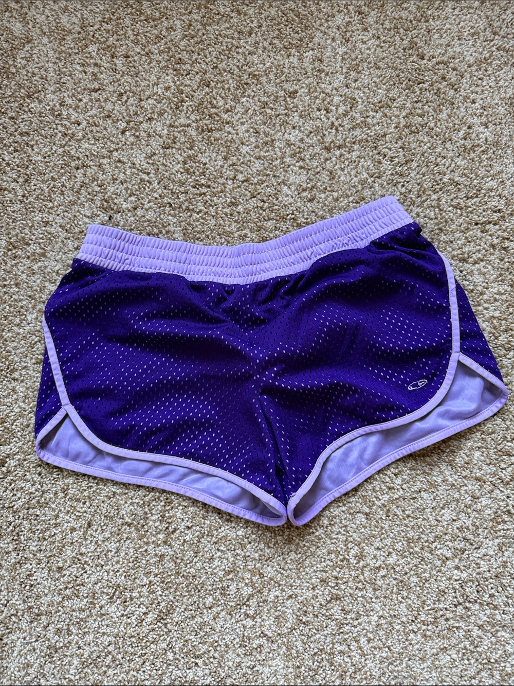 Champion Purple Women's Athletic Shorts - Lightweight Running Shorts